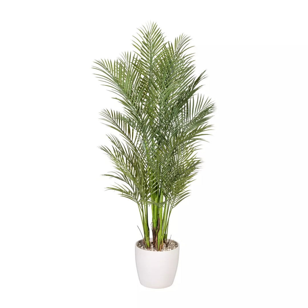 Flourify Arecapalm (goudpalm)