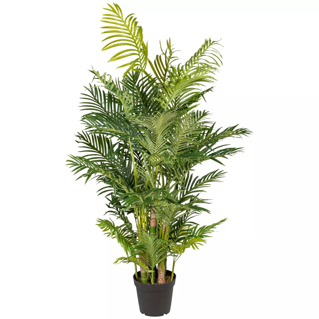 Flourify Palm