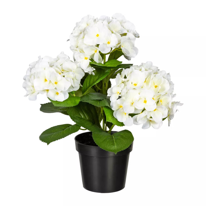 Flourify Hortensia bos,