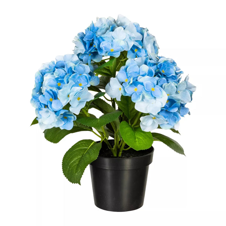 Flourify Hortensia bos