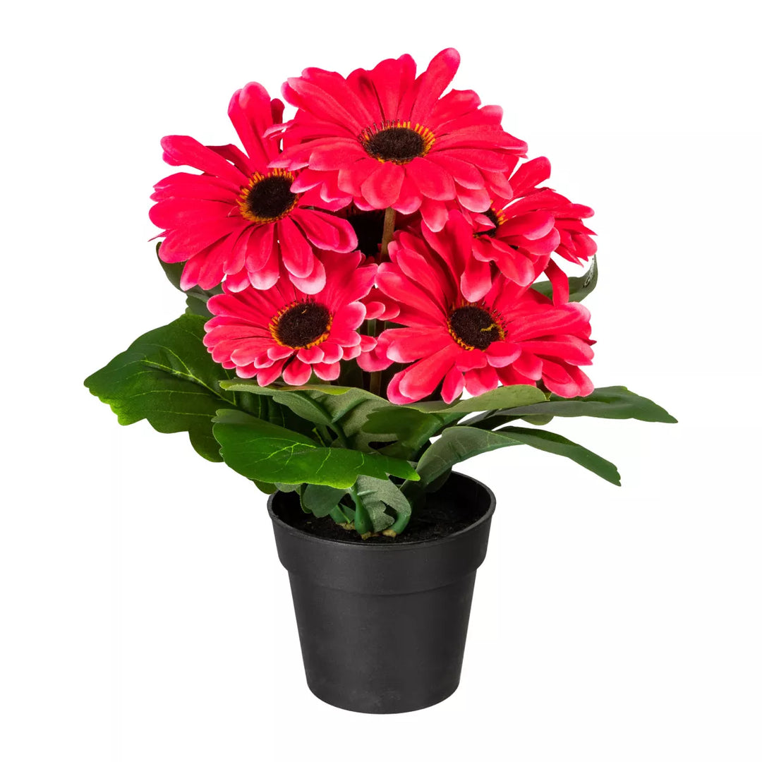 Flourify Gerbera bos