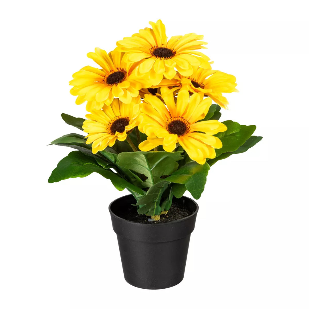 Flourify Gerbera bos