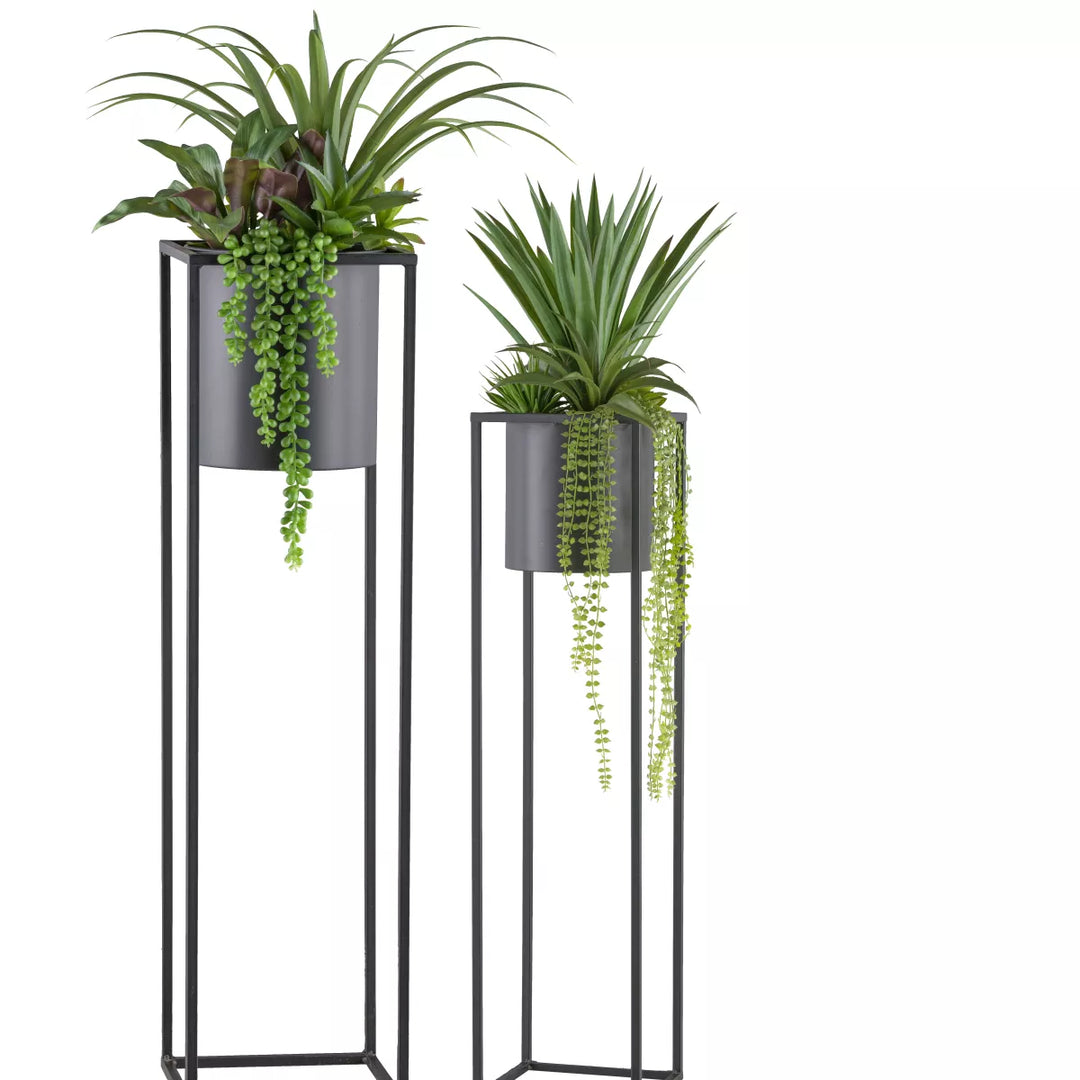 Flourify Vetplanten