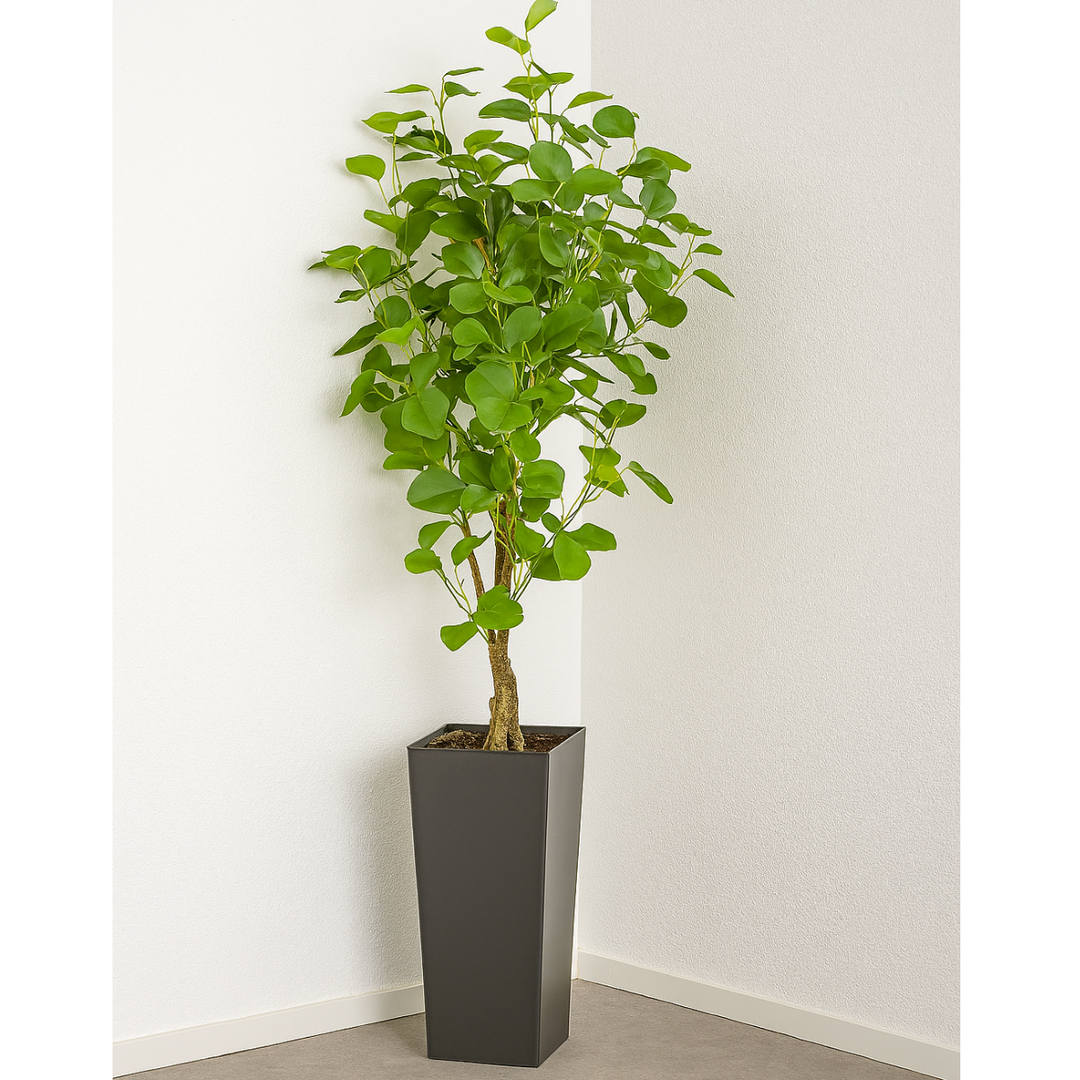Eukalyptus Kunstpflanze 90 cm