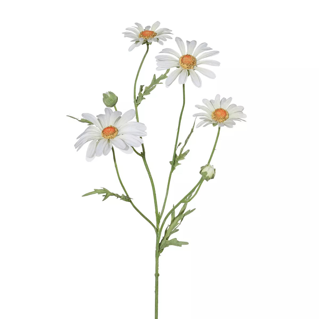 Flourify Margriet