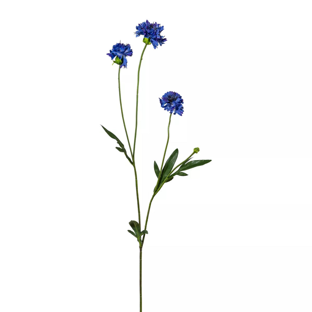 Flourify Korenbloem