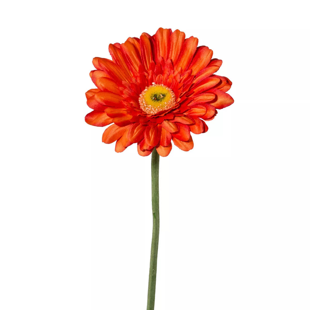 Flourify Gerbera
