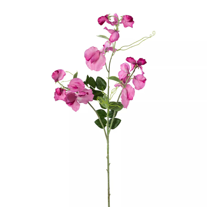 Flourify Wikke tak
