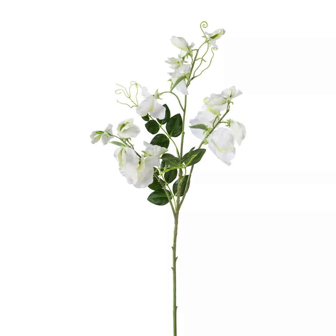 Flourify Wikke tak