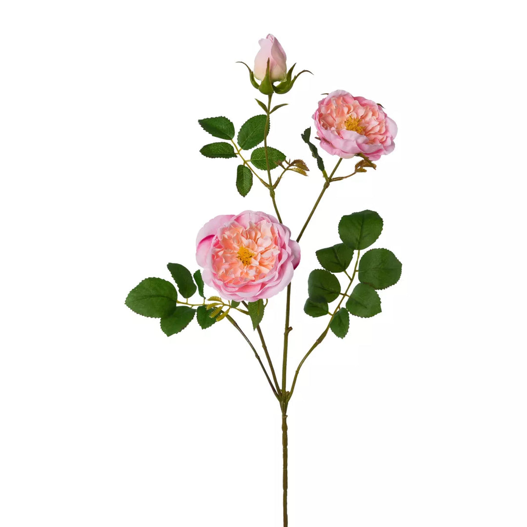 Flourify Rozentak