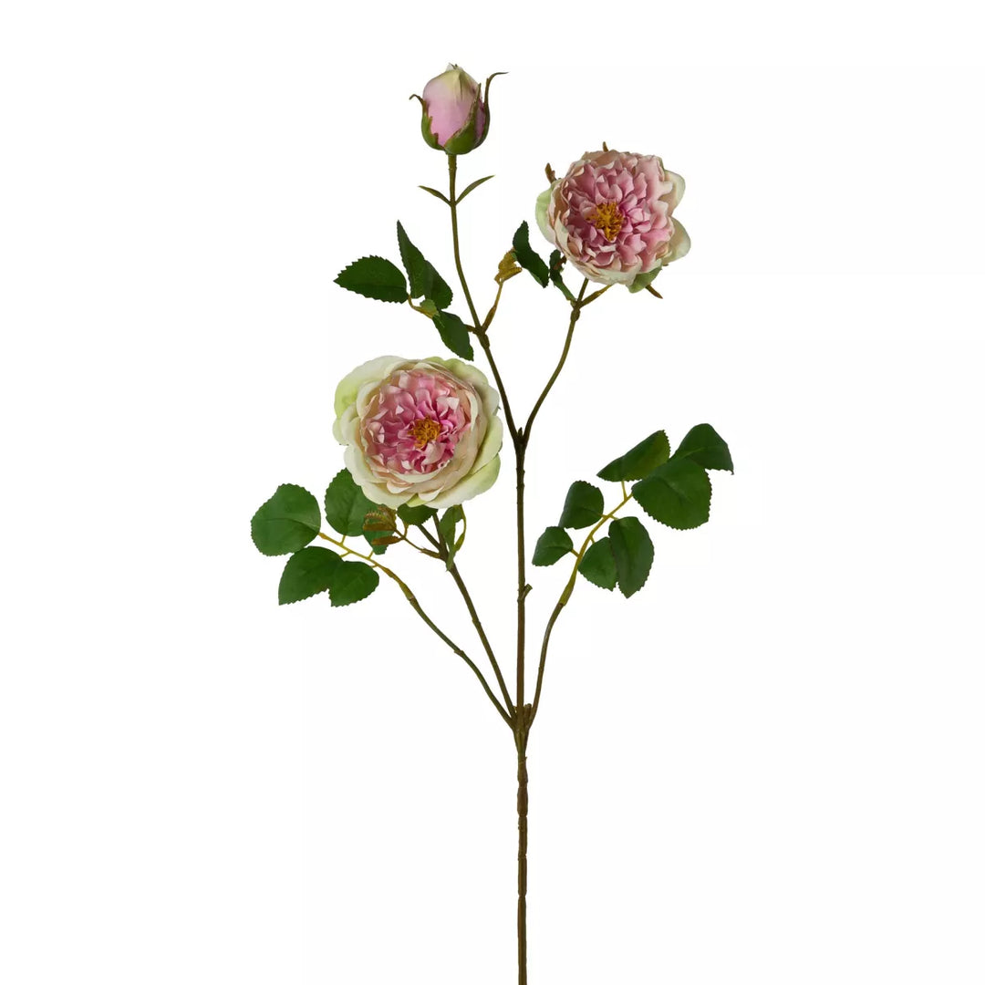 Flourify Rozentak