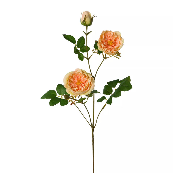 Flourify Rozenstruik