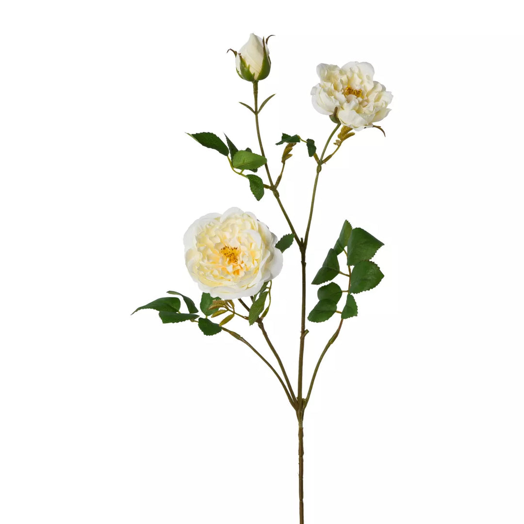 Flourify Rozentak