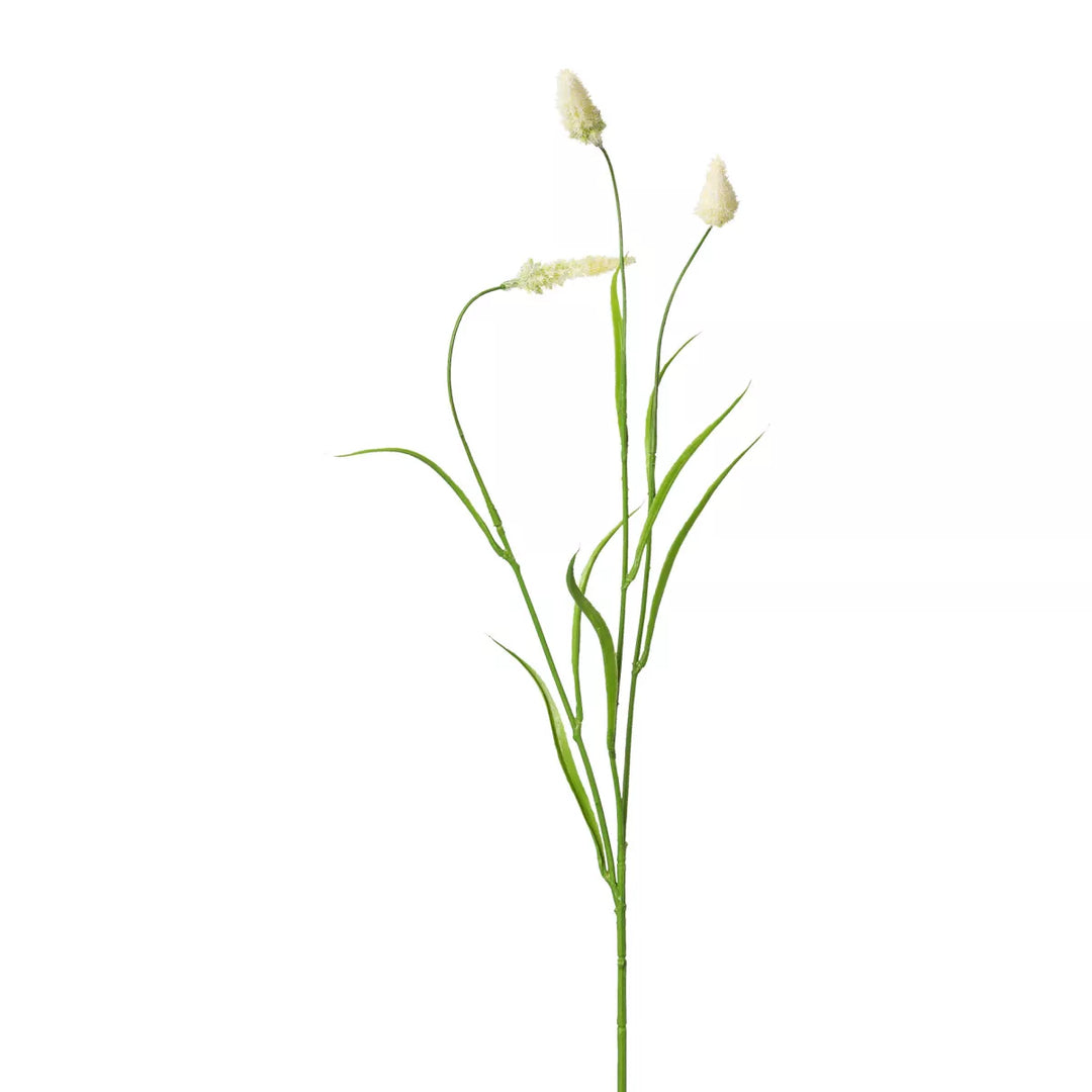 Flourify Veldgras