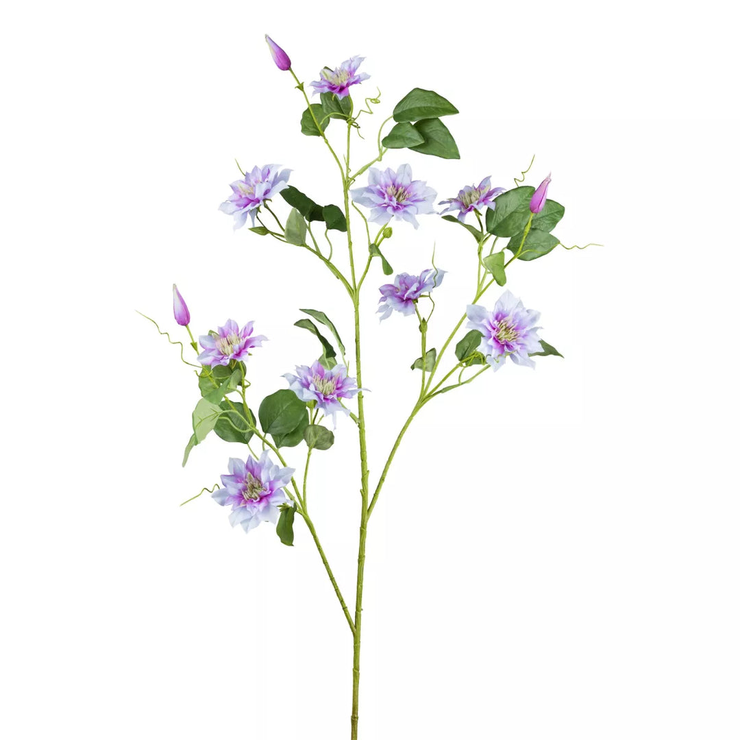 Flourify Clematis 