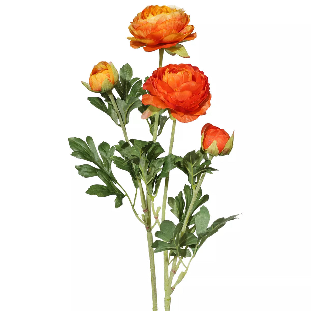 Flourify Ranunkel (boterbloem)