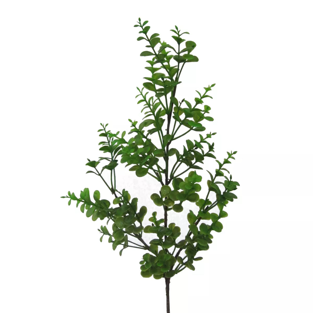Flourify Eucalyptus tak