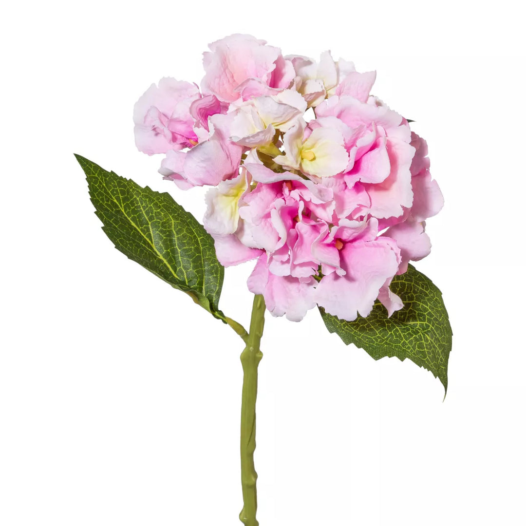 Flourify Hortensia
