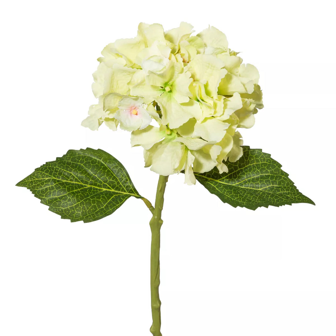Flourify Hortensia