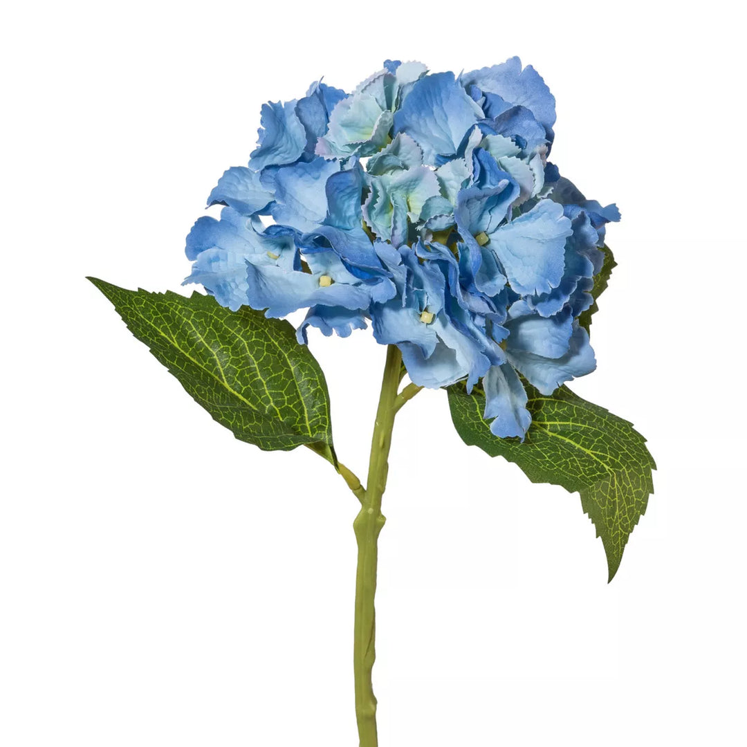Flourify Hortensia