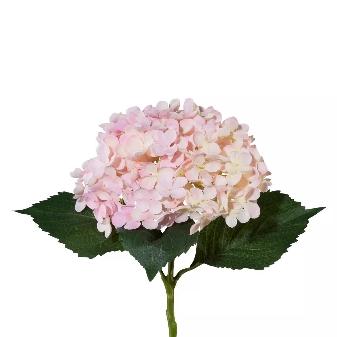 Flourify Hortensia