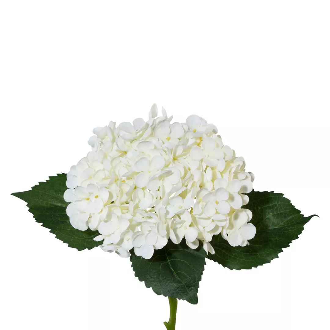 Flourify Hortensia