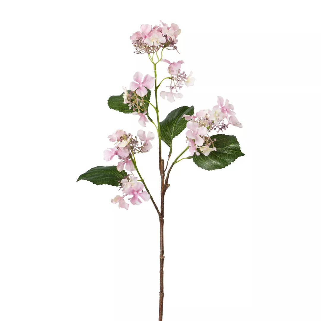 Flourify Hortensia tak