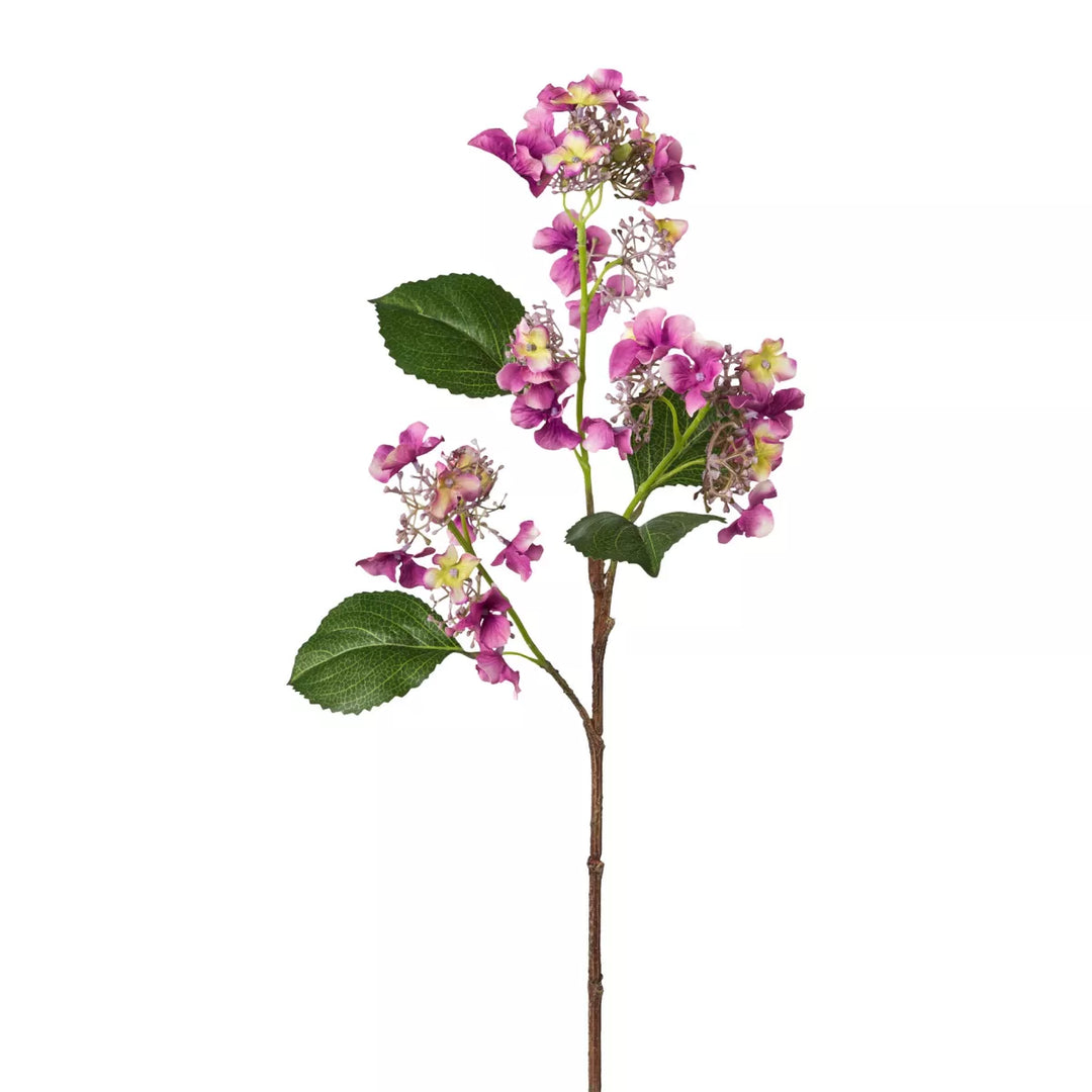 Flourify Hortensia tak