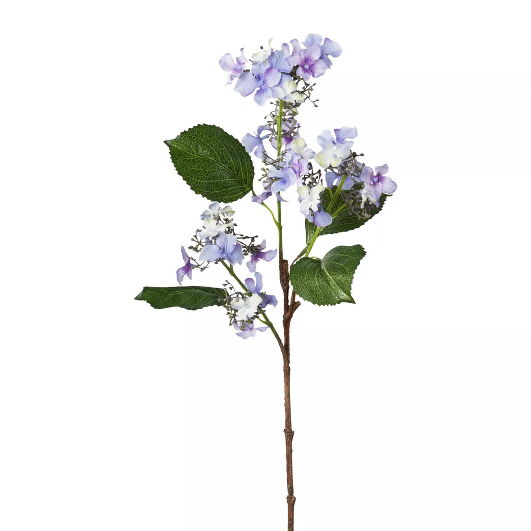 Flourify Hortensia tak