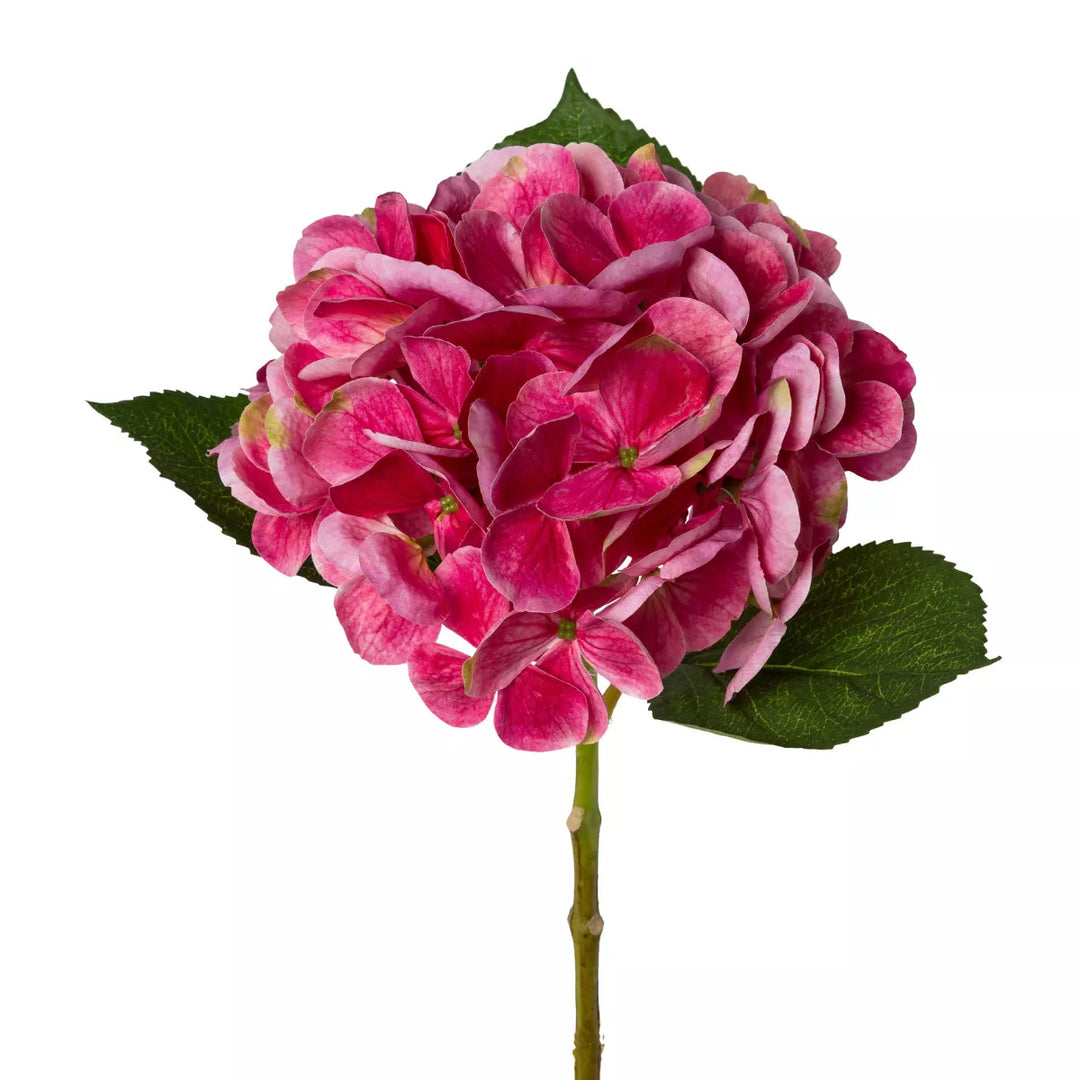 Flourify Hortensia