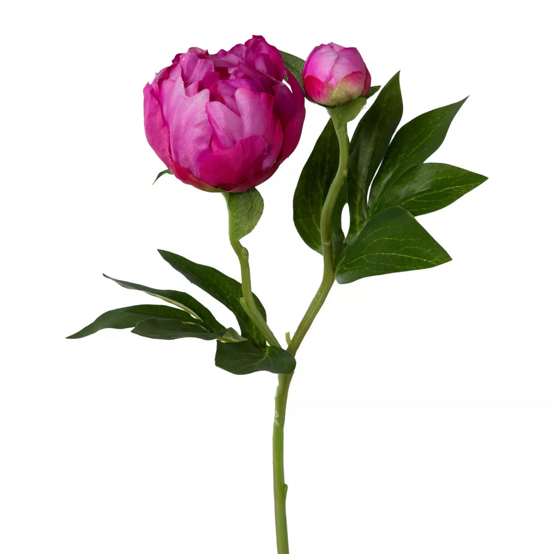 Flourify Pioenroos