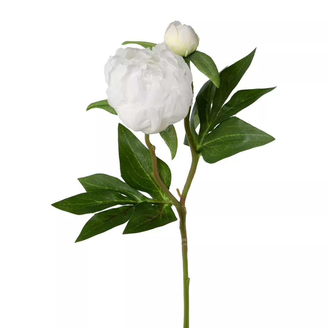 Flourify Pioenroos