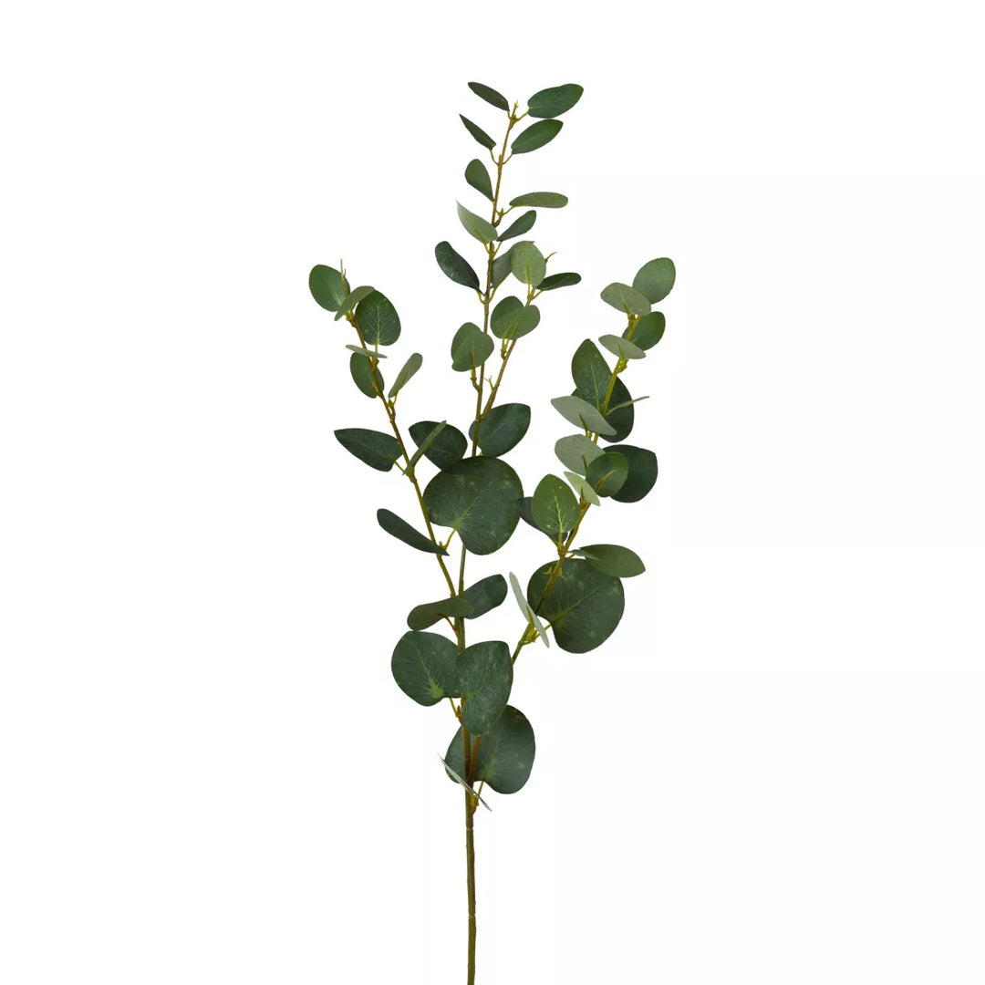 Flourify Eukalyptus tak