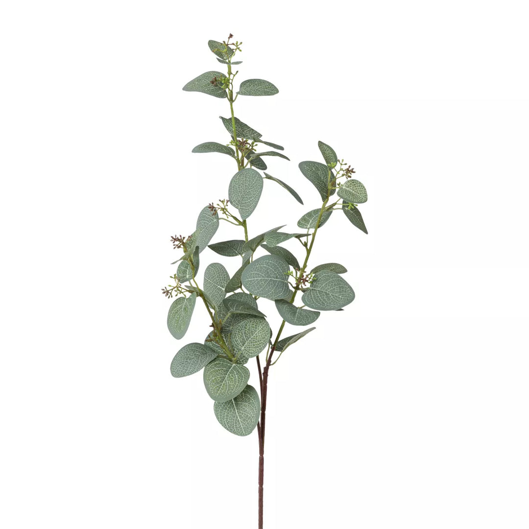Flourify Eukalyptus tak