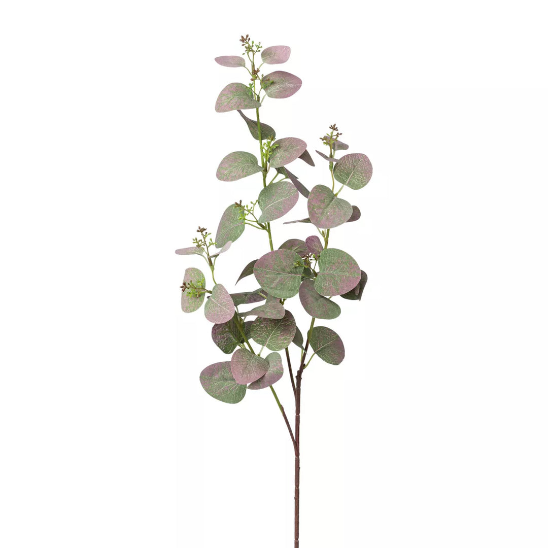 Flourify Eukalyptus tak
