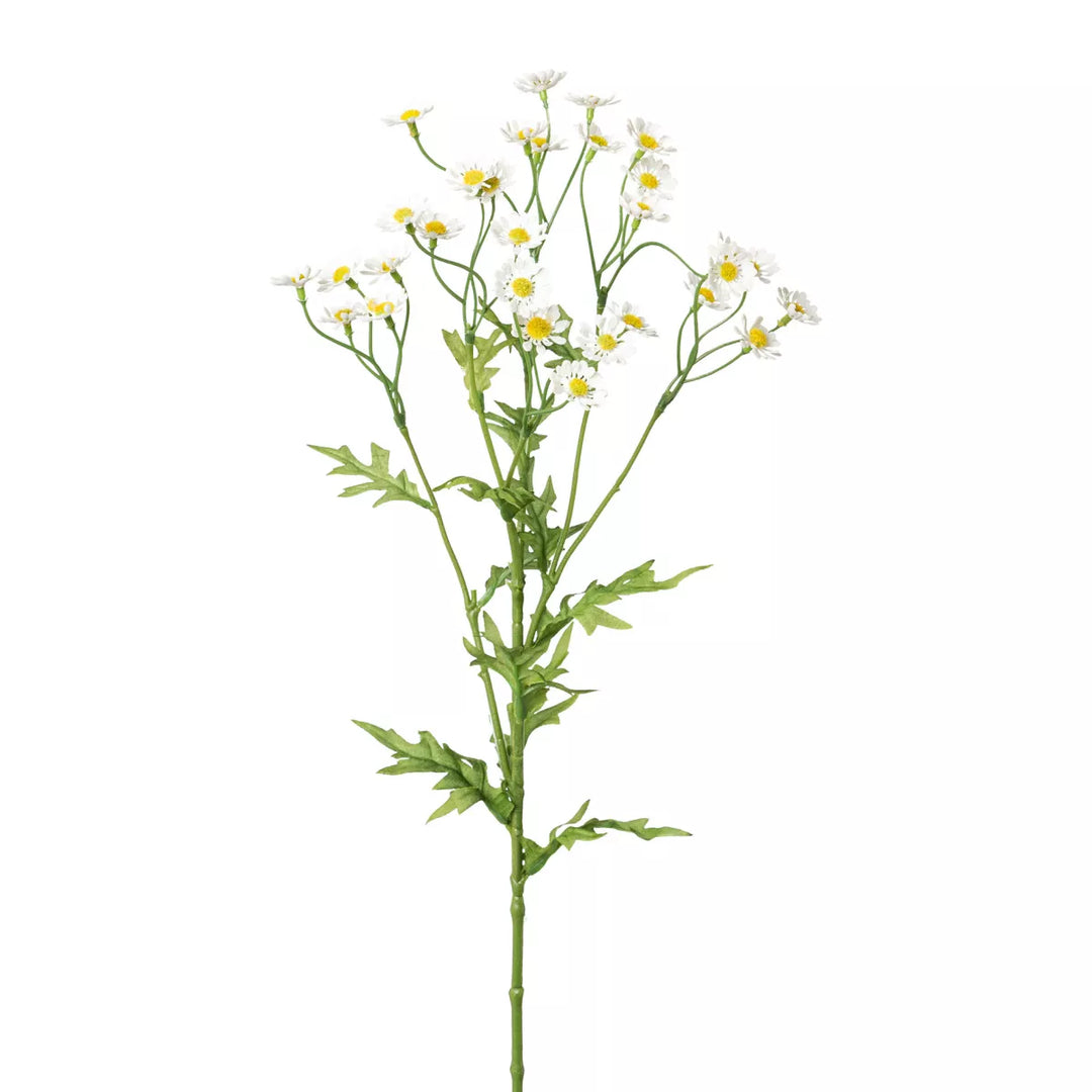 Flourify Kamille