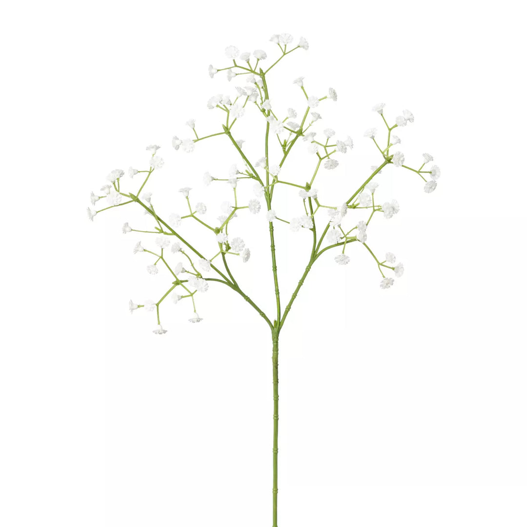 Flourify Gipskruid tak