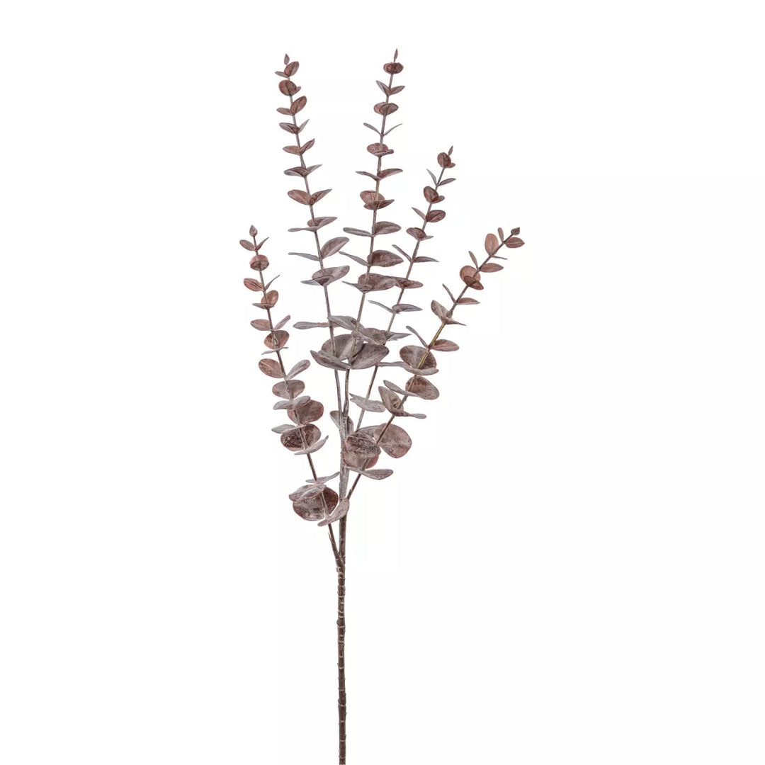 Flourify Eukalyptus tak