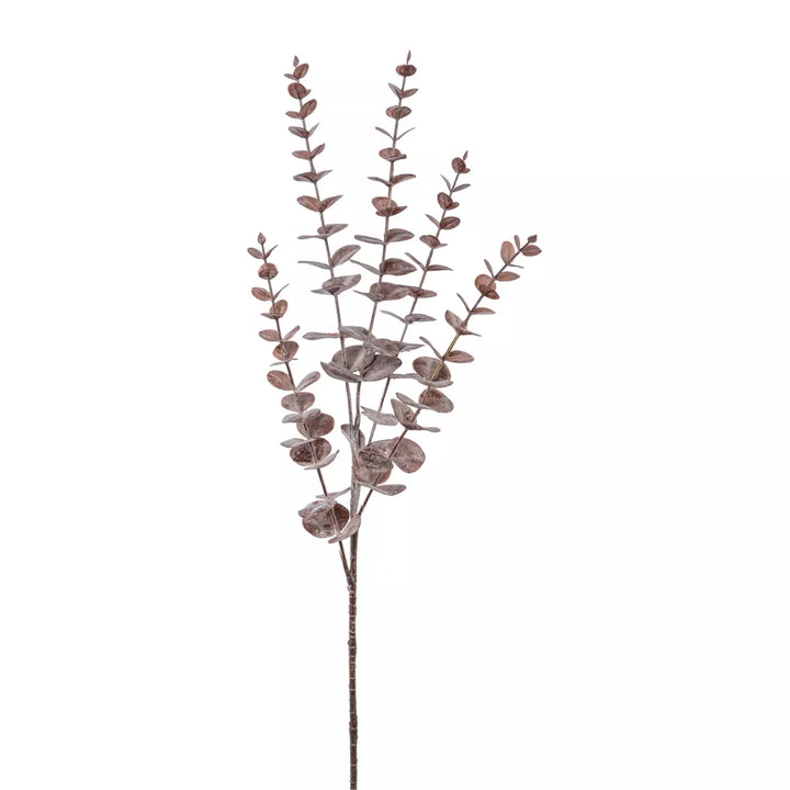 Flourify Eukalyptus tak