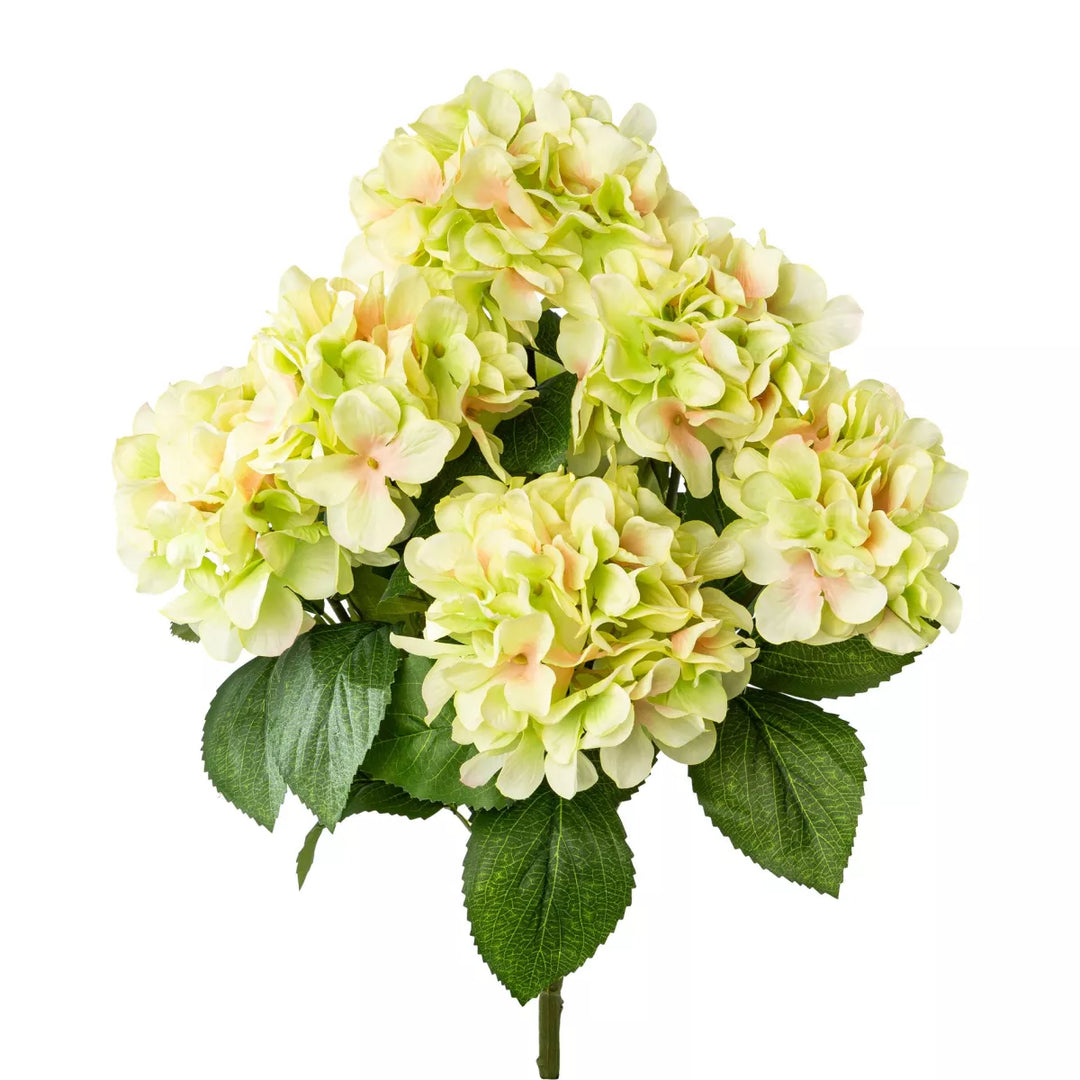 Flourify Hortensia bos
