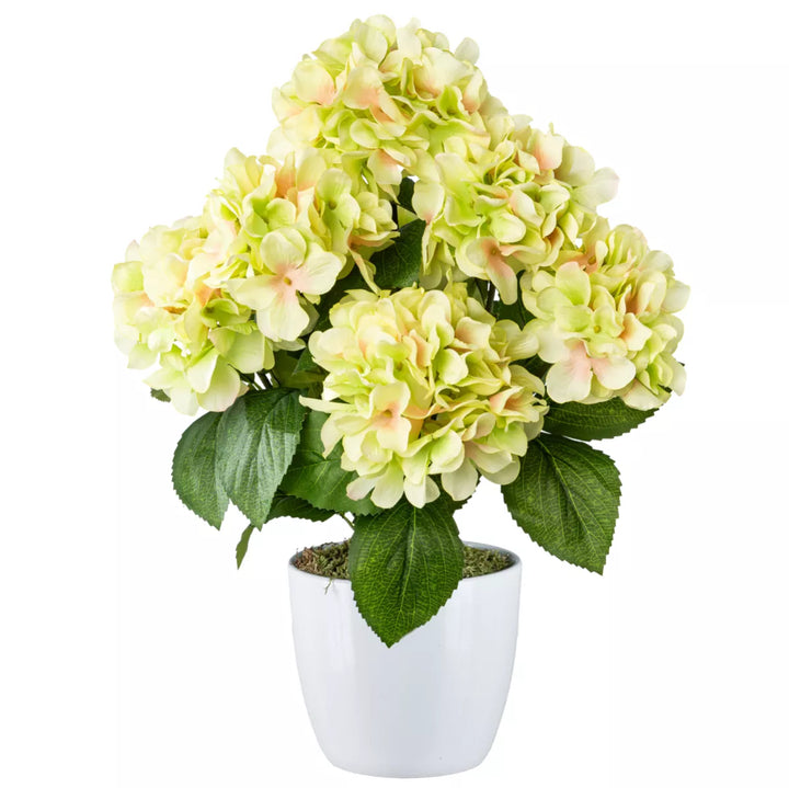 Flourify Hortensia bos,