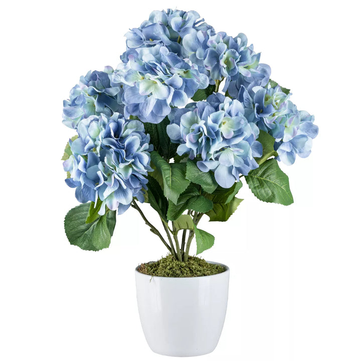 Flourify Hortensia bos,
