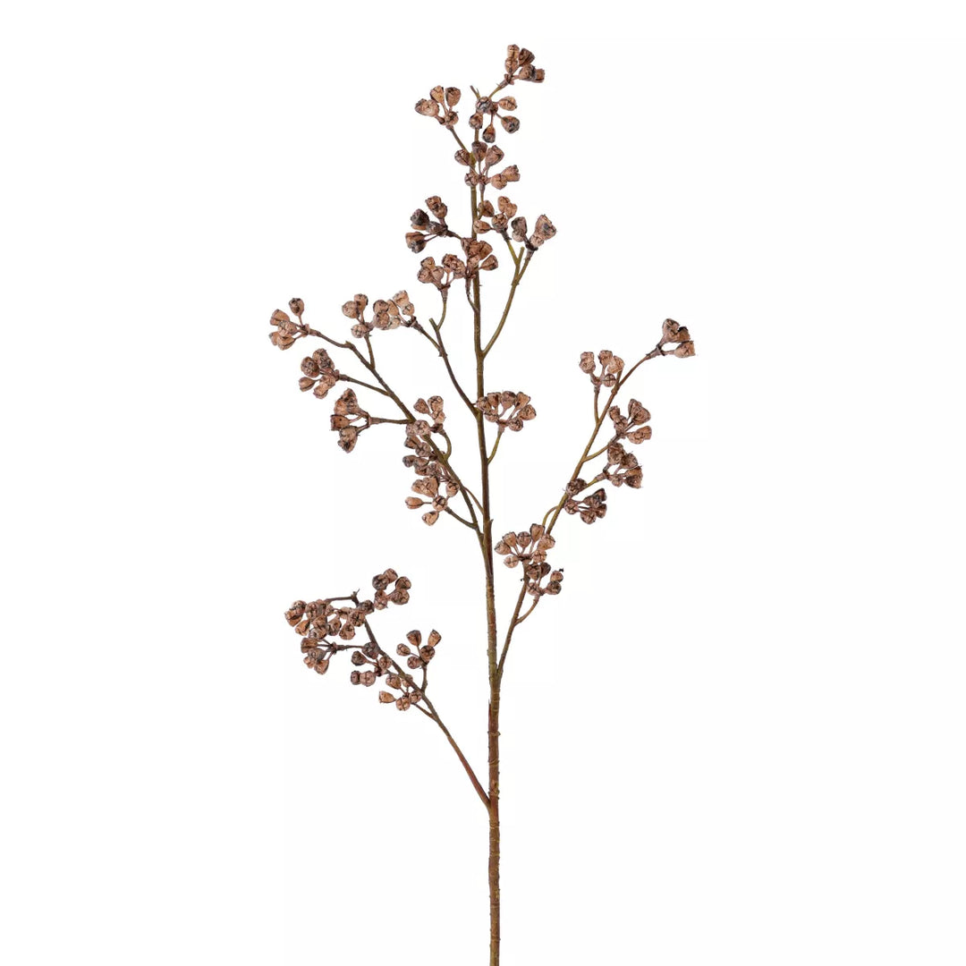 Flourify Eukalyptus vruchtentak