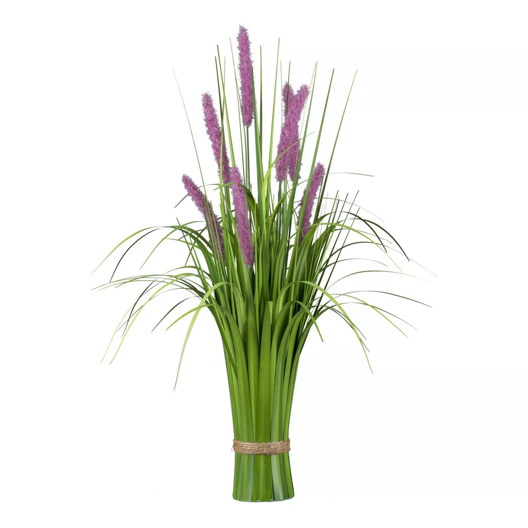 Flourify Pennisetum grasstruik (lampenpoetsergras)