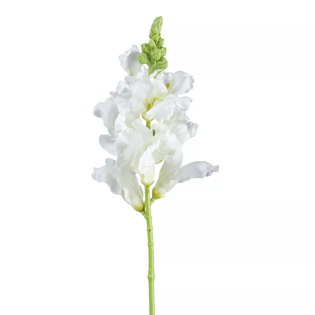 Flourify Leeuwenbek bloem