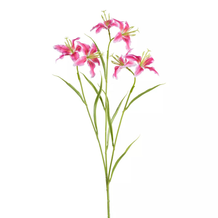 Flourify Lelie tak