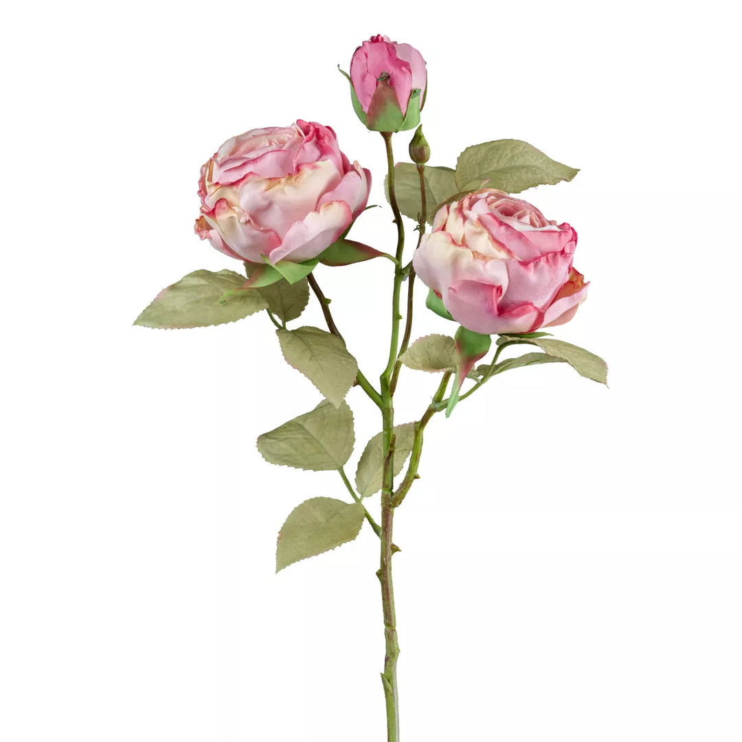 Flourify Roos