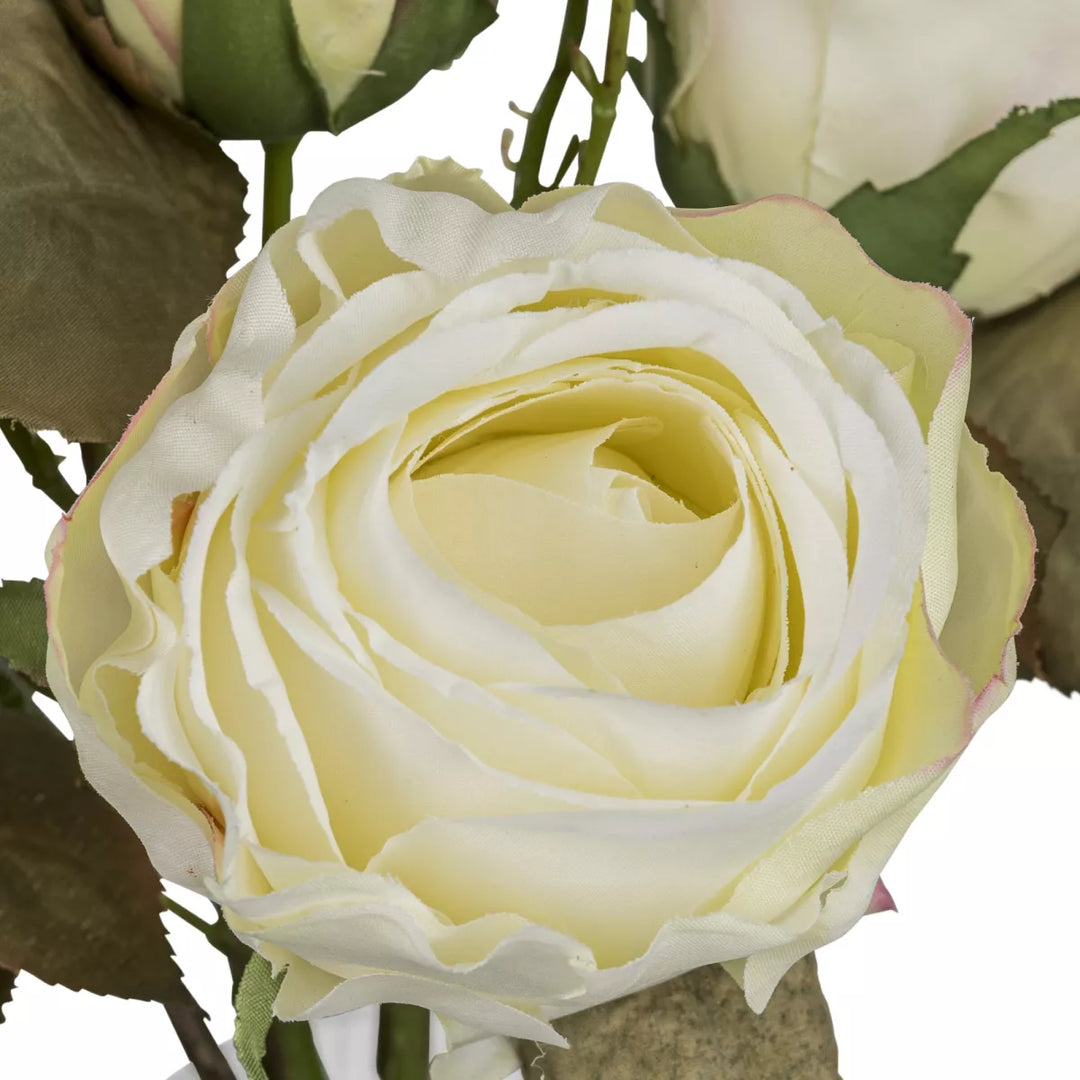 Flourify Rozenbundel