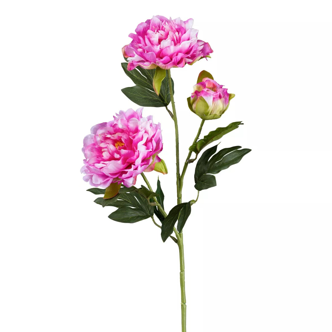 Flourify Pioenroos