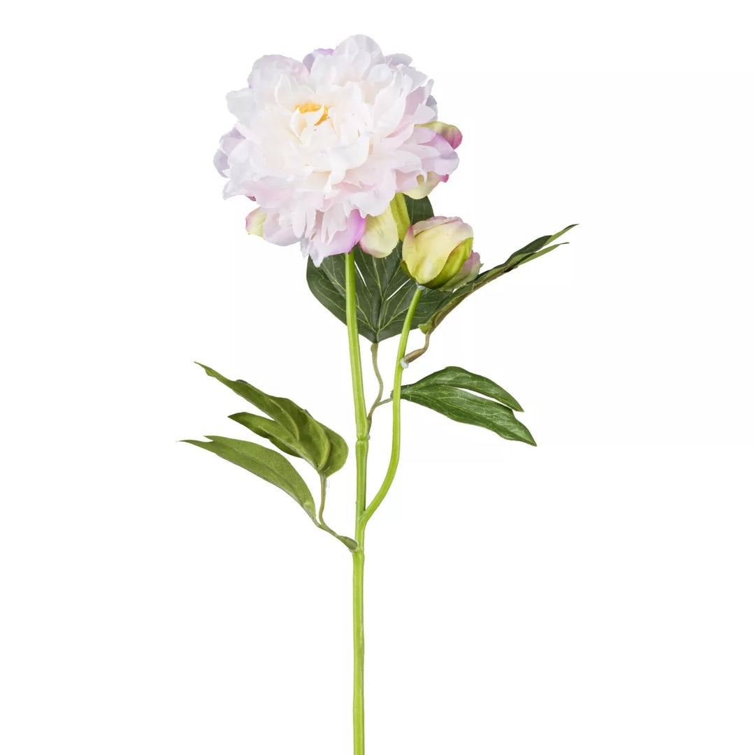 Flourify Pioenroos